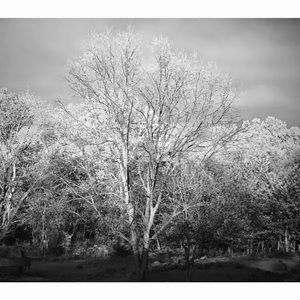 Meet your Posher, Chakara